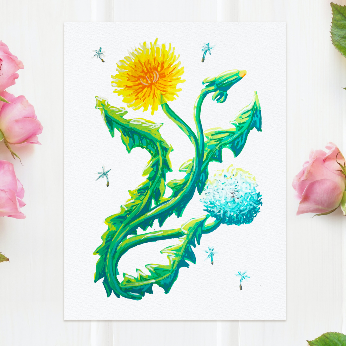 Dandelion Phases