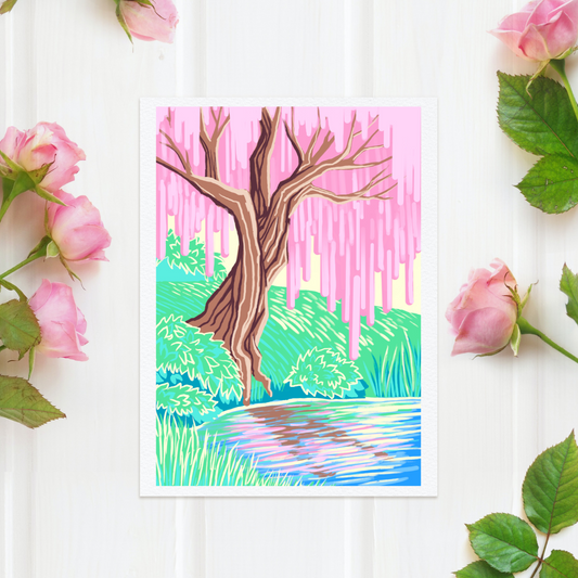Cherry Blossoms on the Pond