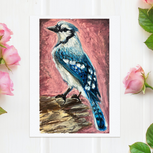 Bluejay in Pastels